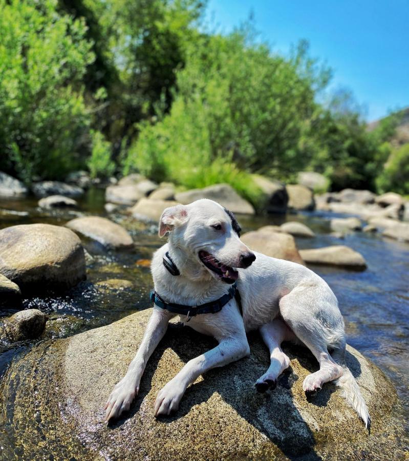 Socal Camping Kernville Dış mekan fotoğraf